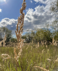 Similar image 22333169