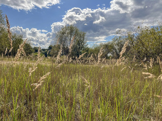 Similar image 22333170