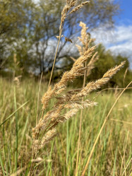 Similar image 22333171