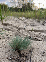 Similar image 22333172