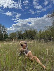 Similar image 22333187