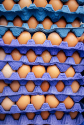 Similar image 22321511