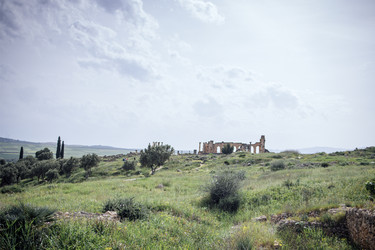 Similar image 22321518