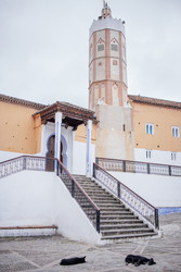 Similar image 22321572