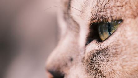 Similar image 22321038