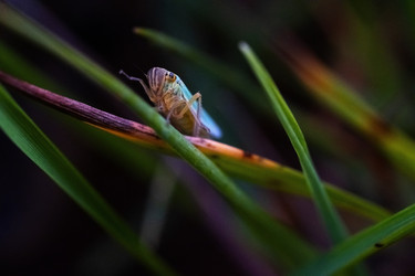 Similar image 22321040