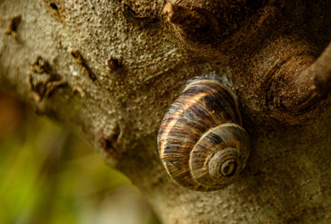 Similar image 22331667