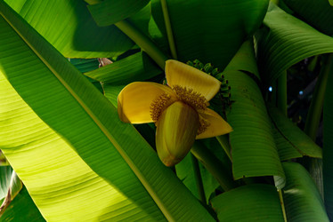 Similar image 22331668