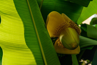 Similar image 22331669