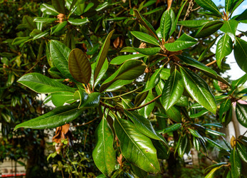 Similar image 22331670