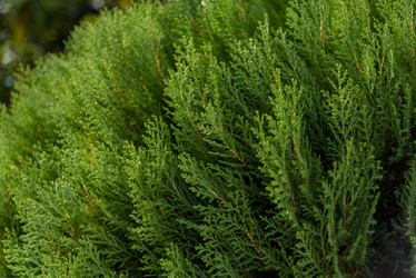 Similar image 22331671