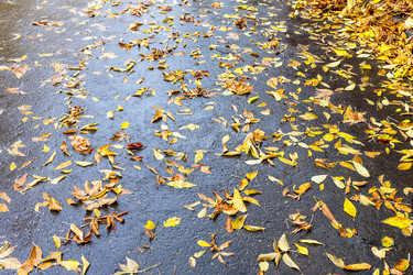 Similar image 22324038