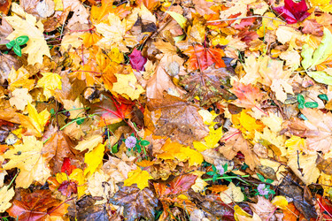 Similar image 22324039