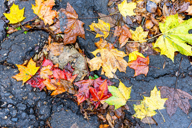 Similar image 22324040