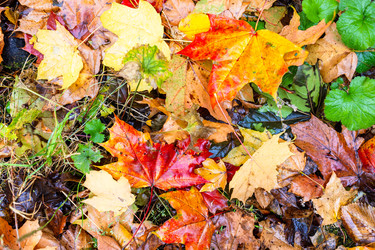 Similar image 22324041