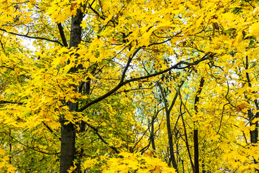 Similar image 22324042