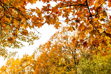 Similar image 22324043