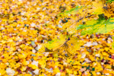 Similar image 22324045