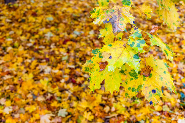 Similar image 22324046