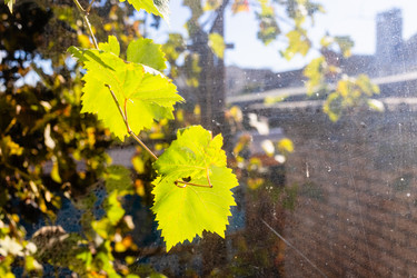 Similar image 22324047