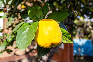 Similar image 22324048