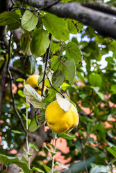 Similar image 22324049