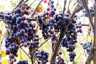 Similar image 22324051