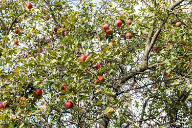 Similar image 22324052