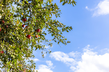 Similar image 22324053