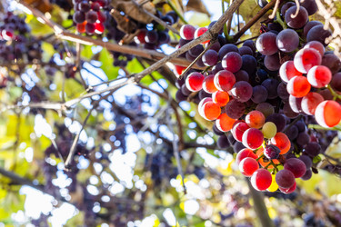 Similar image 22324055