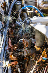 Similar image 22324058