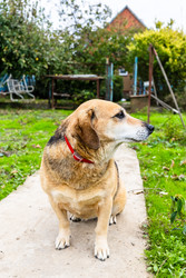 Similar image 22324060