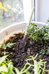 Similar image 22324062