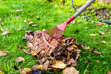 Similar image 22324065