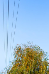 Similar image 22324067