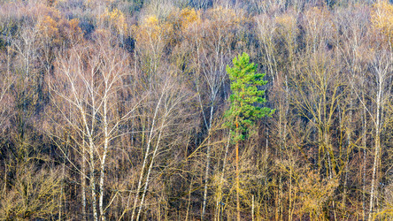 Similar image 22324072