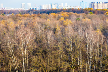 Similar image 22324073