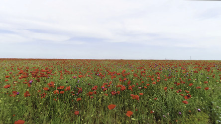 Similar image 22328504