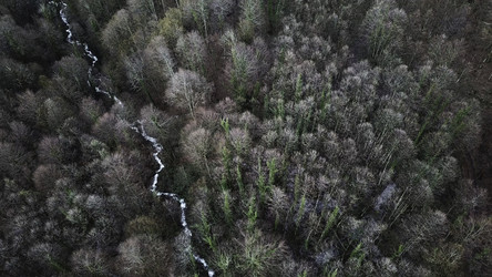 Similar image 22328780