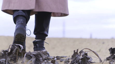 Similar image 22328782