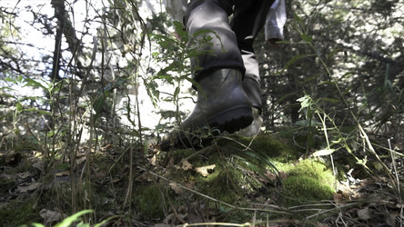 Similar image 22328783