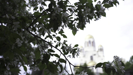 Similar image 22328785