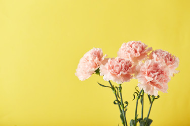 Similar image 22324075