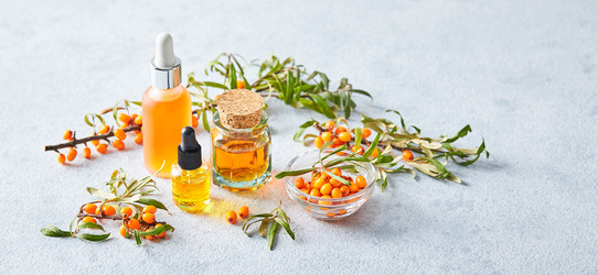 Similar image 22324112