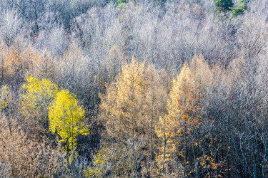 Similar image 22324133