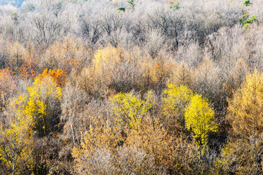 Similar image 22324135