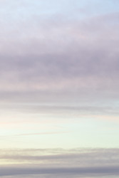 Similar image 22324139