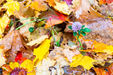 Similar image 22324163