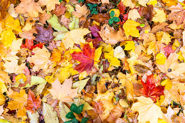 Similar image 22324164