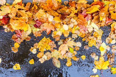 Similar image 22324165